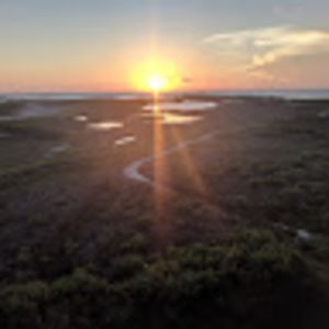 Meet your Posher, Ann